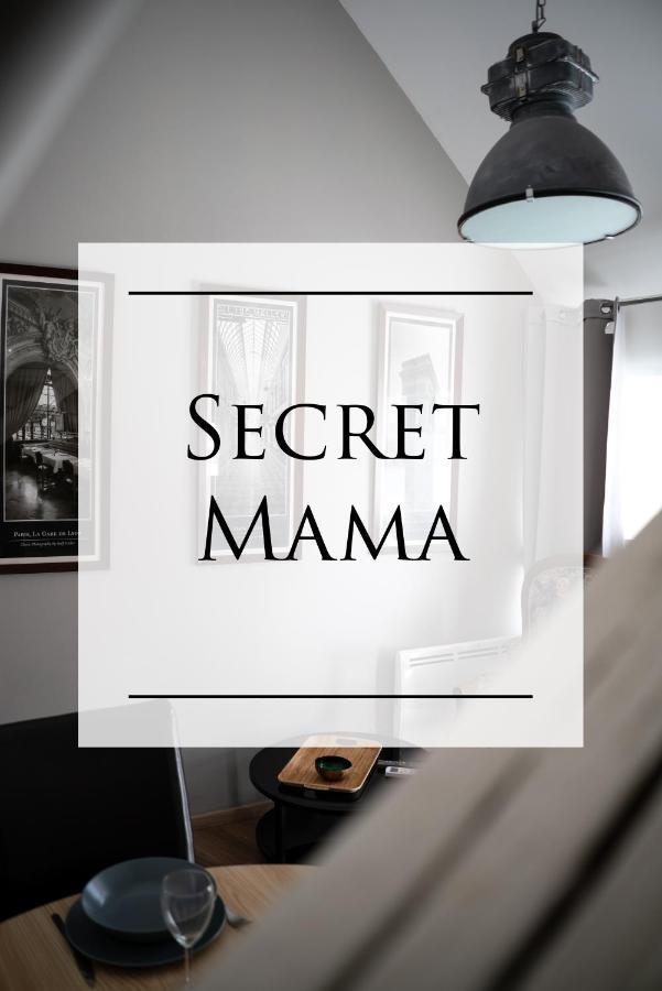 Secret Mama With Aircon 150 Meters From Parking Rapp Apartment Colmar Exterior photo
