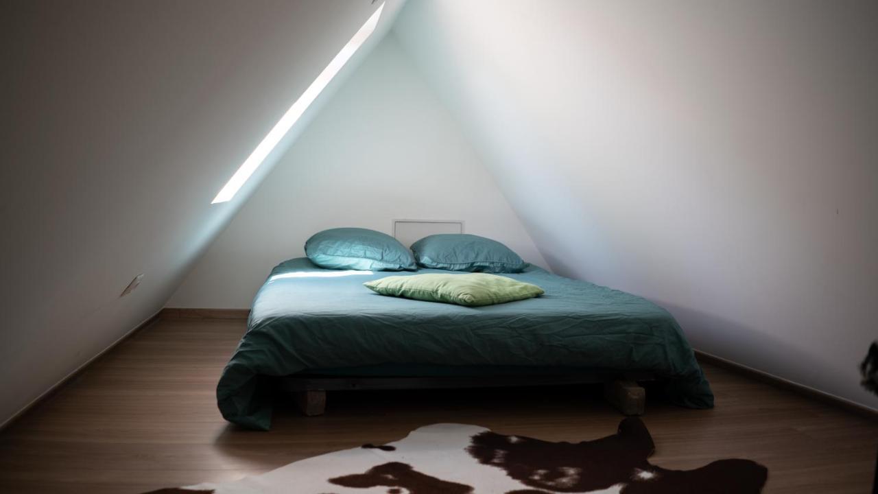 Secret Mama With Aircon 150 Meters From Parking Rapp Apartment Colmar Exterior photo
